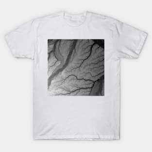 Amazon basin 3 T-Shirt